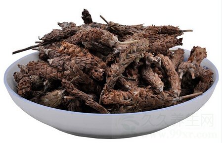 ĿݲݵĹЧ
