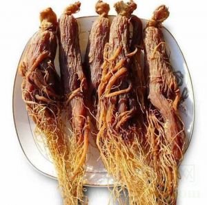 红参的功效与作用