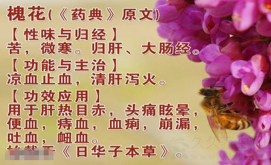 Ƶ20150405:,˻,ĹЧ,