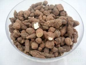 蕨麻的功效与作用