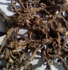 石菖蒲的功效与作用