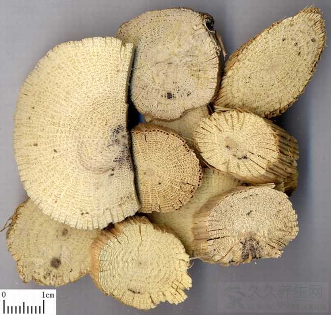 关木通的功效与作用