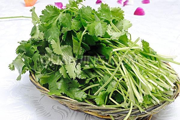 芫荽的功效与作用