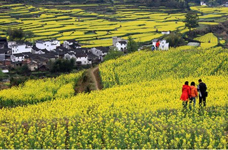 春光出游时 三生(中国)东方素养随行不停息