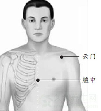 经络养生知识 两个穴位能顺气