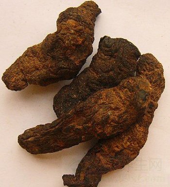 熟地黄的功效与作用 熟地黄虽好但禁忌多