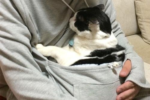日本特制萌衣