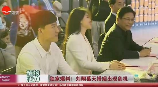 媒曝刘翔葛天离婚