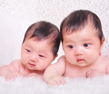 双胞胎的形成