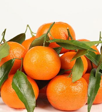 夏季爱犯困怎么办? 七种美食助你提神醒脑