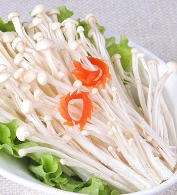 夏季多吃菌类 宝宝营养健康又聪明