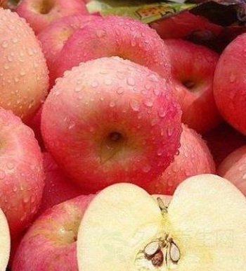 瘦身减肥吃什么好 瘦身减肥必吃食物前10名