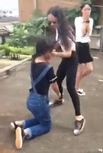 永新初中生打人原因