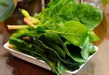 孕妇不能吃哪些食物大全