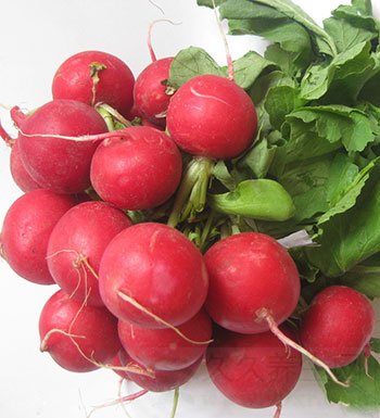 夏季容易出汗缺水怎么办 吃这些食物来补水