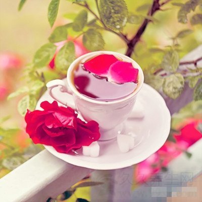 玫瑰花的功效与作用