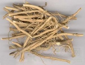桔梗的功效与作用