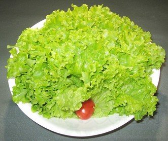 去黑头的方法有哪些 去黑头的误区