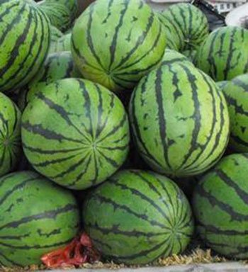 七月食瓜清热解暑 夏季必吃哪些瓜?