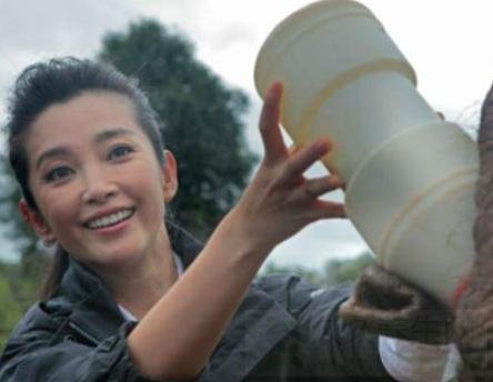 李冰冰略显老态 如何保养脸部皮肤呢