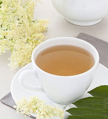 感冒茶的功效 推荐几款感冒茶配方