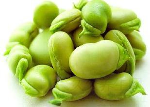 蚕豆的功效与作用及食用方法