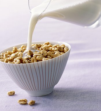 Ӫ ţ̺ʲôʳӪֵ