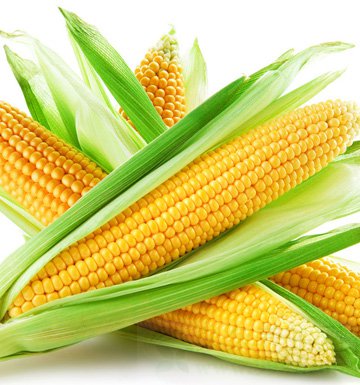 冬季脾胃虚寒吃什么 推荐5款适合脾胃虚寒的食物