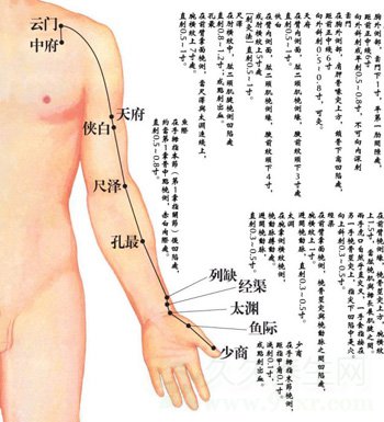 手太阴肺经养生 肺经各穴位的位置与作用