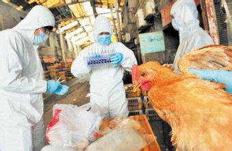 深圳首例H5N6病例死亡 H5N6禽流感怎么预防