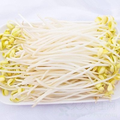 冬季养生吃什么好 冬季养生吃豆芽的好处