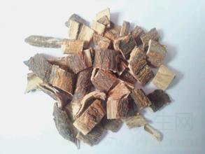牡蛎散的功效