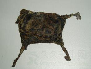 干蟾的功效与作用_干蟾的药用价值