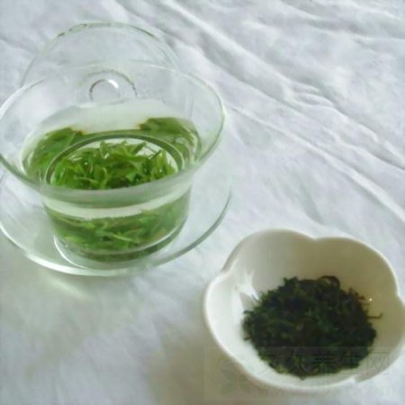 苦丁茶的功效与作用 这五类人要忌喝苦丁茶