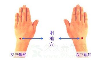 阳池穴