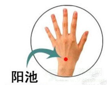 阳池穴