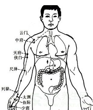 经络拍打养生法