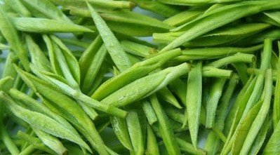 喝绿茶的好处和坏处
