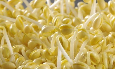 哪些食物生吃更有营养价值