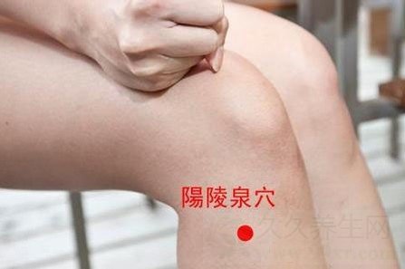 针灸治病原理