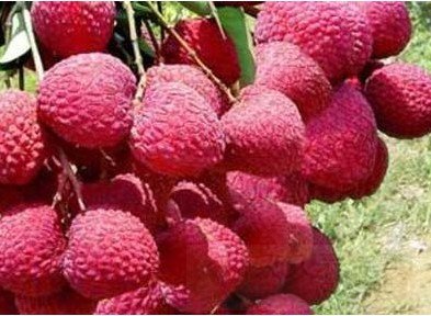壮阳神器!16种食物让男人金枪不倒