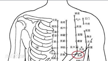 乳根穴是哪条经络 位置