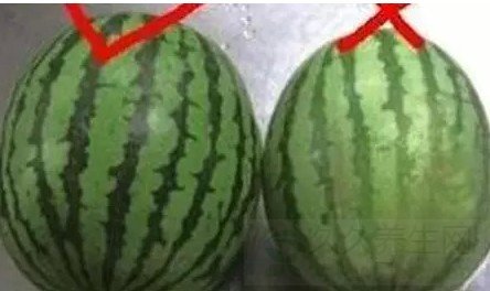 ҪĸĲźó һ֪
