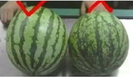 ҪĸĲźó һ֪