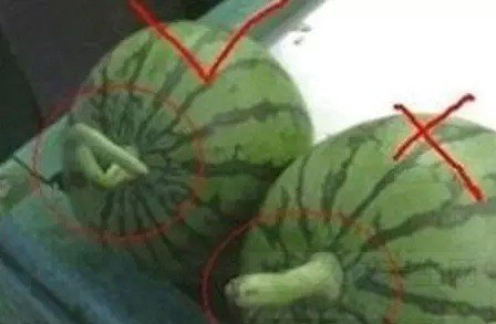 ҪĸĲźó һ֪
