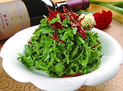 胃寒怎么调理 吃什么好