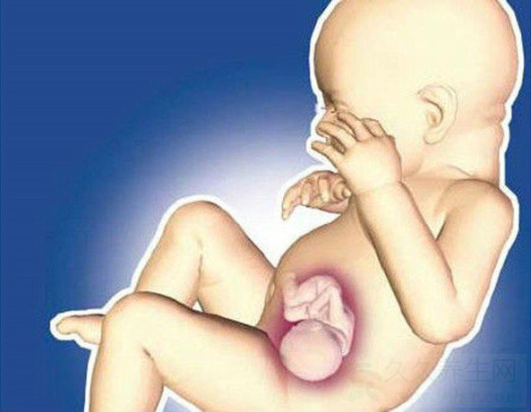 孕妇怀胎9月竟分娩出“套娃” 众人目瞪口呆