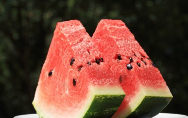 ʪص⼸