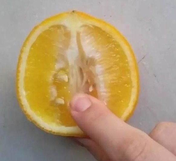 조ˮǿ鷸