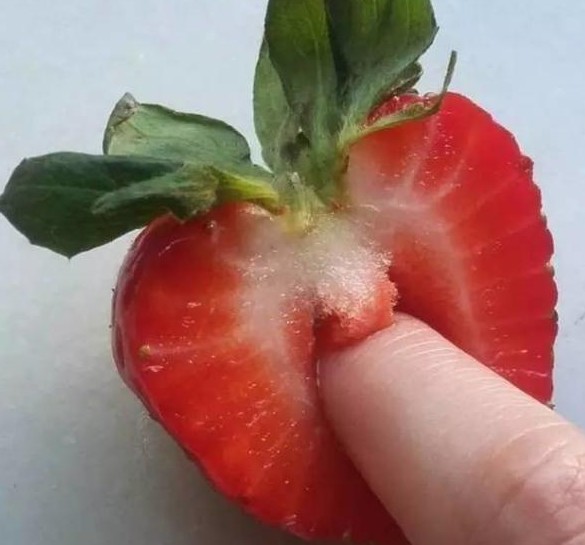 조ˮǿ鷸